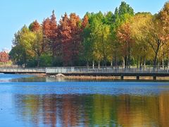 -贡湖湾湿地公园