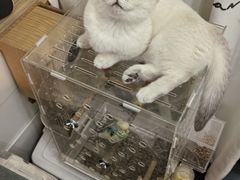 -瑞鹏宠物医院(城市山谷分院)