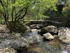 -东天目山风景区