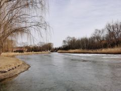 -大兴滨河森林公园