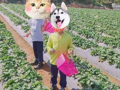 -任达丞国农庄(任达山庄店)