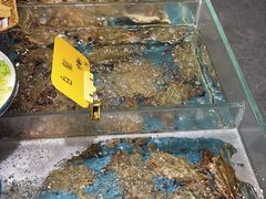 -好兄弟郭巨海鲜(天一阁店)