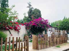 -金谷域澳洲庄园