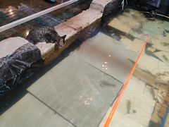 -小象钓虾·营地烧烤(洛溪店)