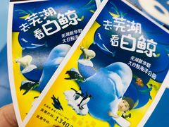 -芜湖新华联大白鲸海洋公园