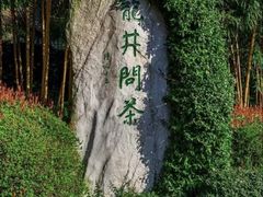 -龙井村