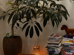 -阿九笨鸡蛋手擀面(总店)