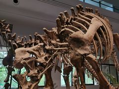 -自贡恐龙博物馆