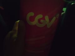 -CGV影城(壹方城IMAX店)