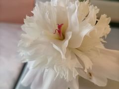 -南堂馆·新川菜(春熙路店)