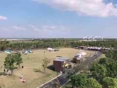 -春花秋色城市公园