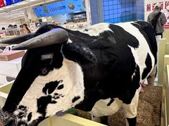 -红星前进面包牛奶公司(君太店)