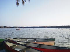 -上海海湾国家森林公园