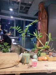 -周忆刺青原创设计定制