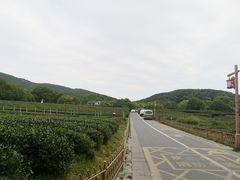 -中国茶叶博物馆(双峰馆区)