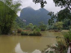 -靖西鹅泉风景区