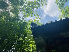 -阳台山自然风景区