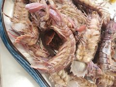 -天天鱼港·海鲜·鲅鱼水饺·招牌烤鸭(黄骅店)