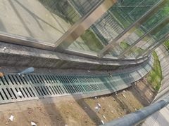 -宿豫区运河湾森林动物园