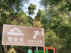 -东莞市大岭山森林公园