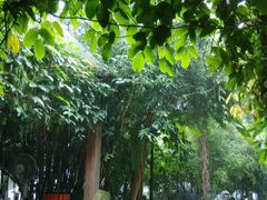 android_upload_pic-旅马餐厅(茅家埠店)