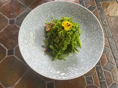 -得丘礼享谷·玉兰苑