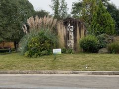 -白鹭湾湿地公园