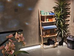 -施奈儿.洗头頭療.按摩SPA.采耳(上梅林店)
