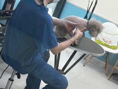 -天宠宠物医院24小时·急重症诊疗中心·全科·腔镜特色(和平分院)