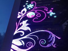 -深圳星河丽思卡尔顿酒店
