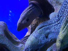 -北海·海洋之窗