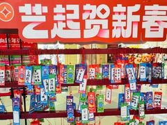 -鹏欣水游城