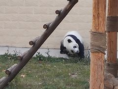 -石家庄市动物园