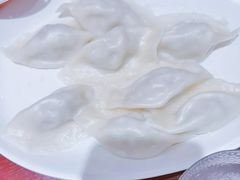 茴香猪肉水饺-喜家德虾仁水饺(北京超极合生汇店)