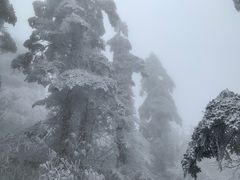 -峨眉山风景名胜区
