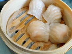 虾饺-捷信牛奶甜品世家(五道口店)
