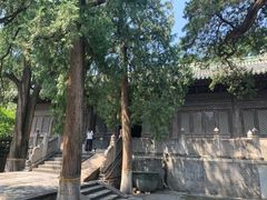 -大觉寺-停车场