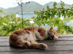 -杭州西湖风景名胜区-满觉陇四眼井