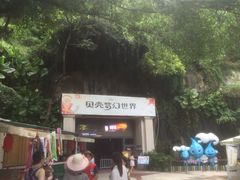 -贝壳梦幻世界