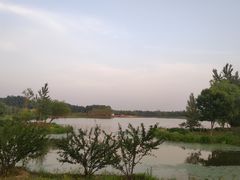 -东郊湿地公园