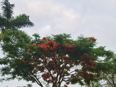 -白鹭洲公园