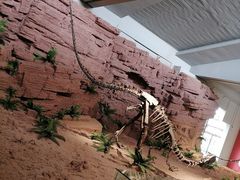 -昆明市博物馆(昆明市文物保护和考古研究中心)