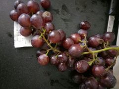 -果乐多生鲜超市(宏业广场店)