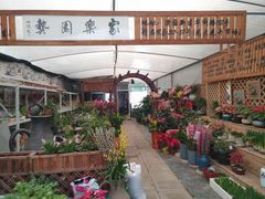 -龙大花卉苗木市场