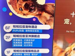 -帕帕拉兹宠物(亚洲旗舰店)