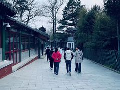 -钰田大院·怀柔地道农家菜·烤虹鳟鱼(雁栖湖店)