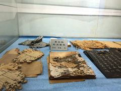 -上海昆虫博物馆