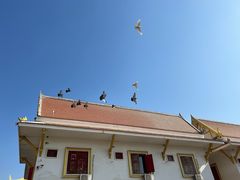 -洛阳白马寺
