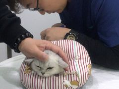 -佳雯宠物医院(金华南路分院)