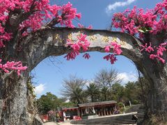 -天适樱花悠乐园